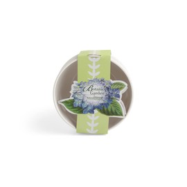 Portmeirion Botanic Garden 6-Inch Serving Bowls (Set of 4) - Hydrangea Motif, BPA-Free Melamine, Dishwasher Safe - Versatile for Soup, Salad, Snacks, Indoor & Outdoor Dining Essentials