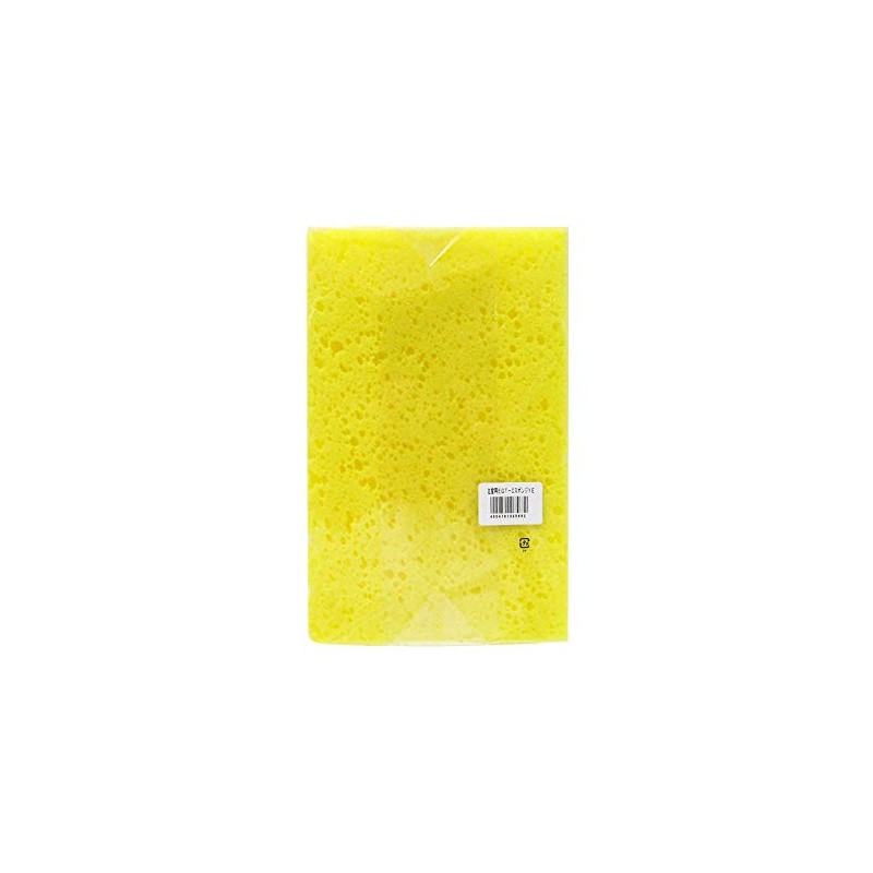 左官 ryqh Sponge Be (Rough Eyes) 250 mm × 165