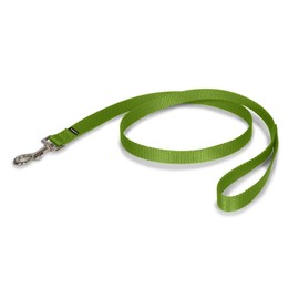 PetSafe Nylon Dog Leash - Strong, Durable, Traditional Style Leash with Easy to Use Bolt Snap - 1 in. x 6 ft., Apple Green