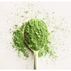 MIDNIGHT MANTRA Ceremonial Grade Matcha Green Tea Powder, USDA Certified