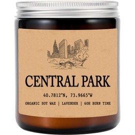 Central Park - New York Scented Candle - Organic Soy Wax - Gift for Her - Gift for Him - New Home Gifts - Birthday Gift for Friend - National Park Gifts - State Candles