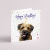 Curled Up Border Terrier Birthday Card - Party Hat
