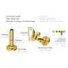 PIERCINGLINE Titanium Labret with Internal Thread Titanium Attachment Snake Piercing