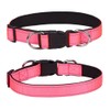 Reflective Dog Collars, Neoprene Padded Basic Durable Soft Nylon Puppy