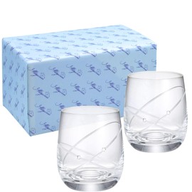 Wedgwood aW58310700123 Promisis with Ring Pair Tumbler Glasses, 9.8 fl oz (290 ml), Tableware, Christmas Present, Wedding, Gift, Housewarming Celebration