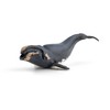 Papo - Hand painted - Animal Figures - Right whale