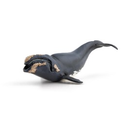 Papo - Hand painted - Animal Figures - Right whale - 56057 - Marine Life - Collectible - For Children - Suitable for Boys and Girls - From 3 years old