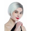WIG ME UP - SZL0581-12T613 Ladies' Wih short smooth parting