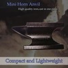 Hyecen Mini Horn Anvil Set,3Lbs Forged Iron Anvil with Rubber