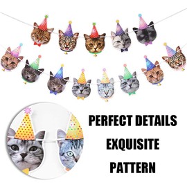 Birthday Banner Cat Face Hanging Bunting Birthday Sign for Party Princess Decorations