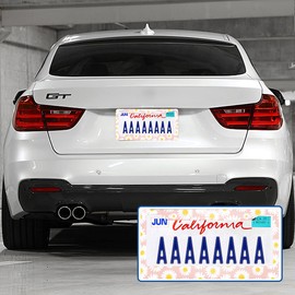 Swono Daisies Flowers License Plate Frame Beautiful White Daisy Flower in The Pink License Plate Cover Aluminum Metal License Plate Holder Frame for Women Men Auto Decoration for US Car/Truck