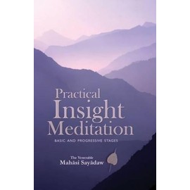 Practical Insight Meditation: Basic and Progressive Stages