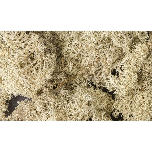 Woodland Scenics L166 Lichen Natural 1.5 Quarts, L166