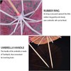 Set of 60 Assorted Toothpick Umbrellas - Measures 4 Inches