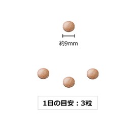 キャッツクローMPB+大痛取［キャッツクローエキス］［オオイタドリ若芽エキス］計340mg配合［国内製造］しっかり30日分