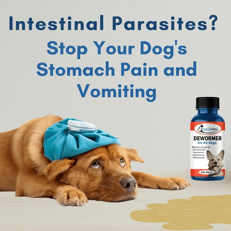 BestLife4Pets Broad Spectrum De-wormer for All Dogs
