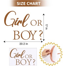 Girl Or Boy Decal Sign for Balloons Arch Backdrop, Large Adhesive Sign Decal Letters Sticker Wall Decor Decorations for Baby Shower Gender Reveal Party