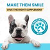 Wanderfound Pets 10-in-1 Dog Multivitamin, Chewable Dog Vitamins with Glucosamine,