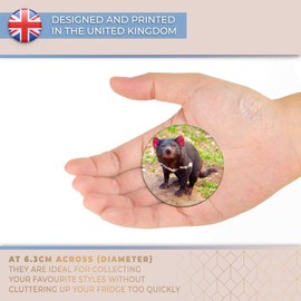 Destination Vinyl ltd Magnet for Refrigerator, Fridge - Cute Tasmanian Devil Animal for Office, Cabinet and Whiteboard, Magnetic Stickers, 2201