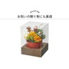 丸和 Trade Artificial Plants