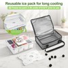 Chilled Snackle Box Container with Ice Pack and Insulated Bag,