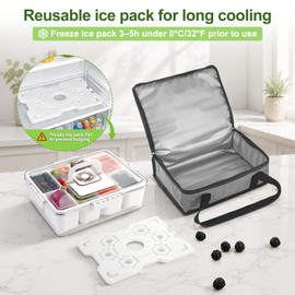 Chilled Snackle Box Container with Ice Pack and Insulated Bag, 8-Compartment Divided Snack Tray with Lid, Portable Snack Organizer for Road Trips, Beach, Picnic, Fruits, Veggies and Snacks