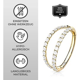 Piercing Ear Helix Conch Clicker Ring Zirconia Titanium Gold Silver Rose Gold 8 mm and 10 mm and 1.2 mm Bar Thickness, Titanium