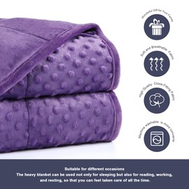 Alomidds Weighted Blanket, Luxury Velvet Weighted Blankets for Adults and Kids,Warm and Breathable Soft and Comfort Minky, Cute Heavy Blanket with Premium Glass Beads (36"x48" 5LBS, Purple)
