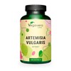 Mugwort Capsules High Dose | 600 mg Extract (10:1) -