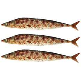 pcb pepper food sample autumn sword fish grilled fish food display nh7723 (set of 3)