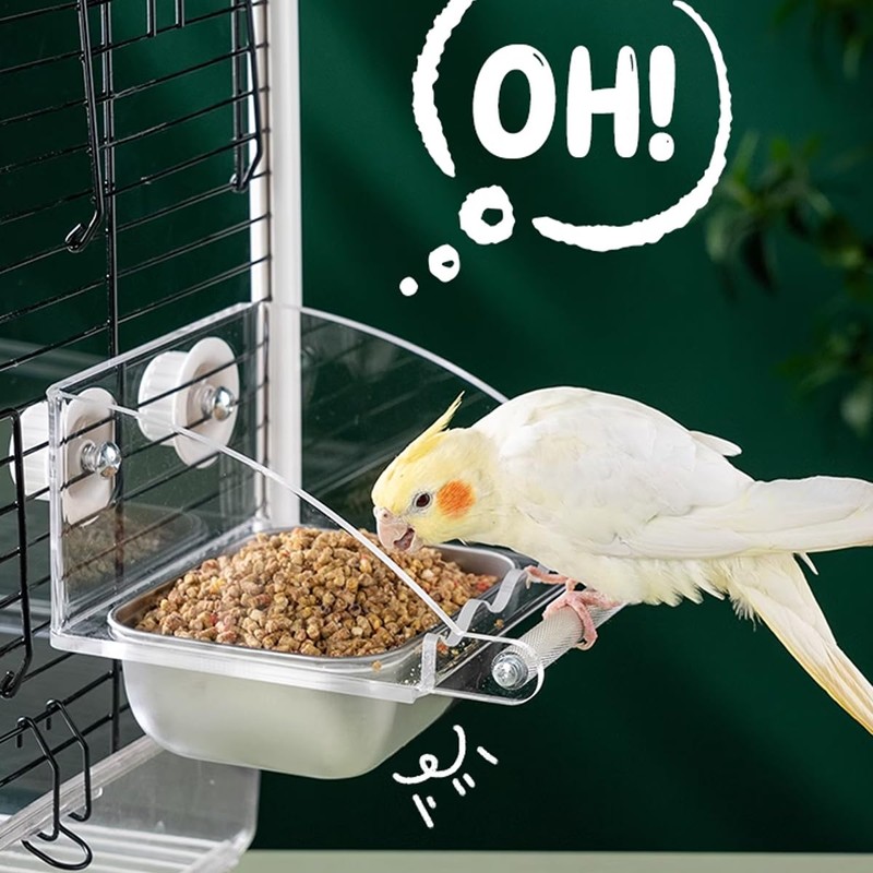 AIMALL Parrot Acrylic Stainless Steel Food Basin Box, Anti-Scattering Feeder