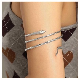 Allereya Vintage Snake Bracelet Punk Snake Bangle Bracelet Swirl Snake Armlet Silver Serpent Arm Cuff Bracelet Jewelry for Women and Girls (Silver)