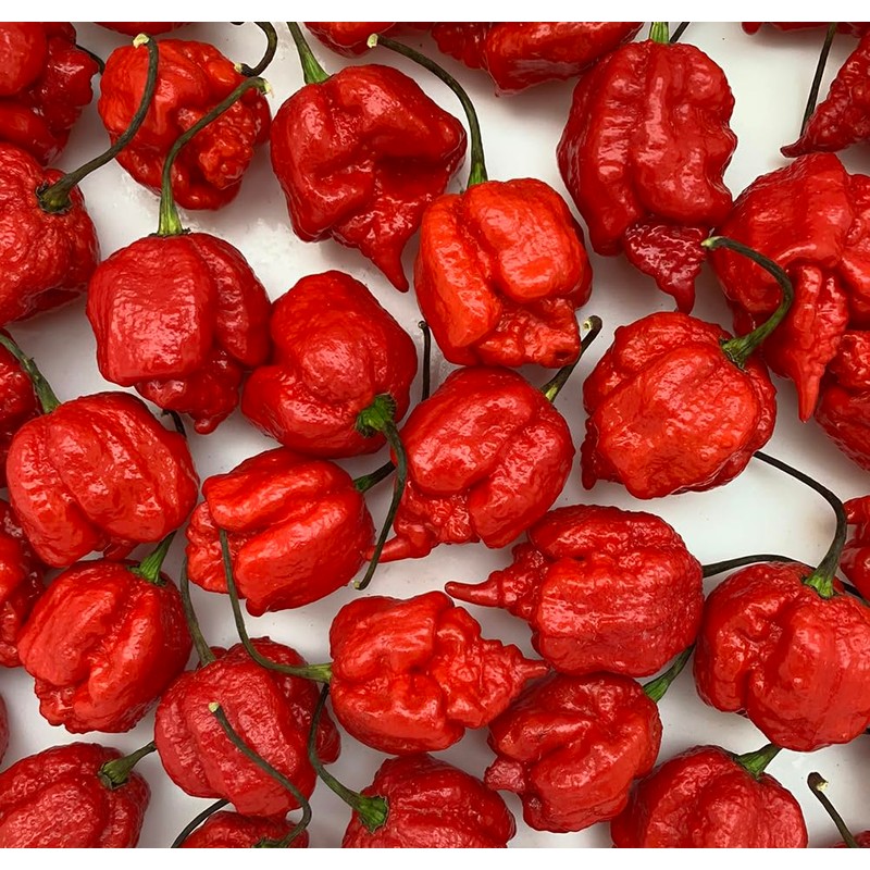 Carolina Reaper Red Pepper Seeds