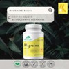 Provita Migraine - Natural Herbal Solution for Headaches, Prevent &