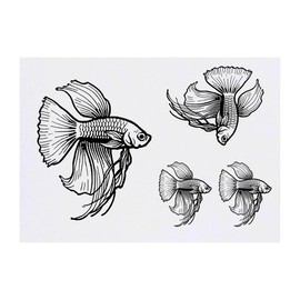 4 x 'Betta Fish Swimming Gracefully' Temporary Tattoos - Water Resistant, Skin-Safe, Non-Toxic Transfers, Mixed Sizes (TO00071288)