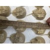 Horseshoe Crab Shells Molts - 5 Piece Lot - $25