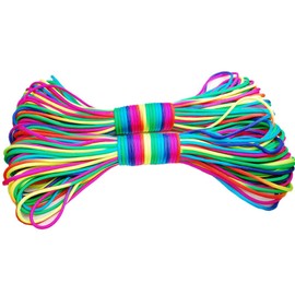 Colorful Rainbow Paracord Cord Rope Type III 7 Strand Parachute 550 Cord Bracelet – Available in 10ft 20ft 50ft 101ft 328ft (101ft (31M))
