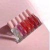 Brillo Labial Hidratante Favorbeauty 6pcs En Tonos Distintos