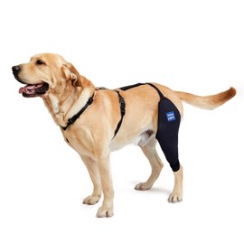 LufeLux Dog Knee Brace with Harness and Connection Belt, Lightweight and Stretchable, Support for Torn ACL Hind Leg, Luxating Patella, Reduces Arthritis Pain and Inflammation (Large)