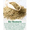 Organic Dried Rosemary - Pure and Natural - Rosemary Leaves