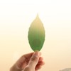 3PC Color Changing Leaf Bookmarks,Cool Bookmarks,Book Marks for Reading