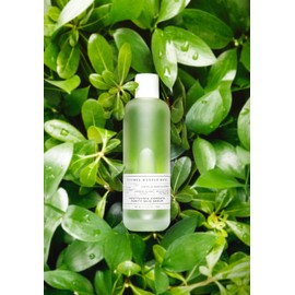 Wonder Bath Houttuynia cordata Cleaning Serum Calming Moisturizing Essence 140ml, 2 pieces / 원더바스 어성초 청결 세럼 진정 보습에센스 140ml, 2개
