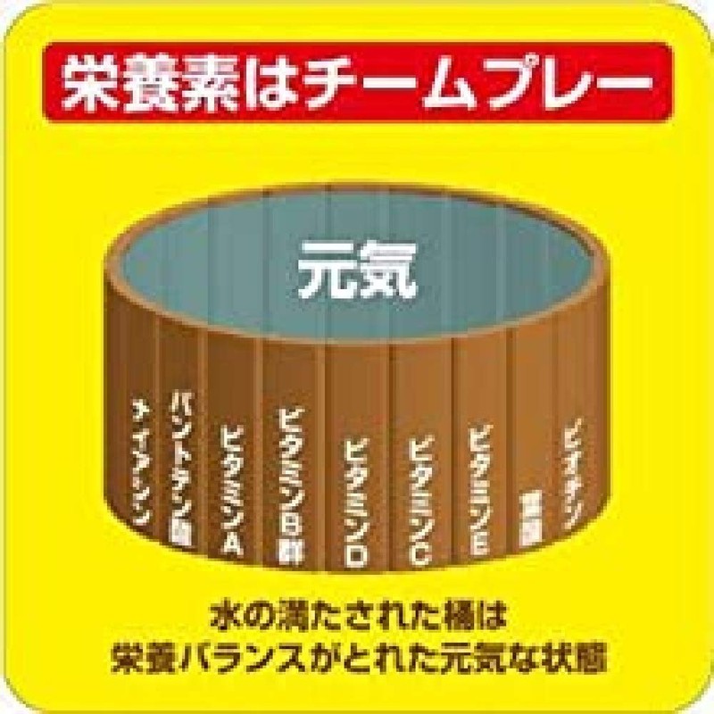 大塚製薬 ネイチャーメイド マルチビタミン&ミネラル 100粒 50日分