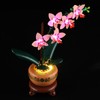 YEABRICKS LED Light for 10343 The Botanical Collection Mini Orchid