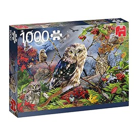 18859 Owls in Moonlight 1000 Pieces Owl Accessories, Multicoloured