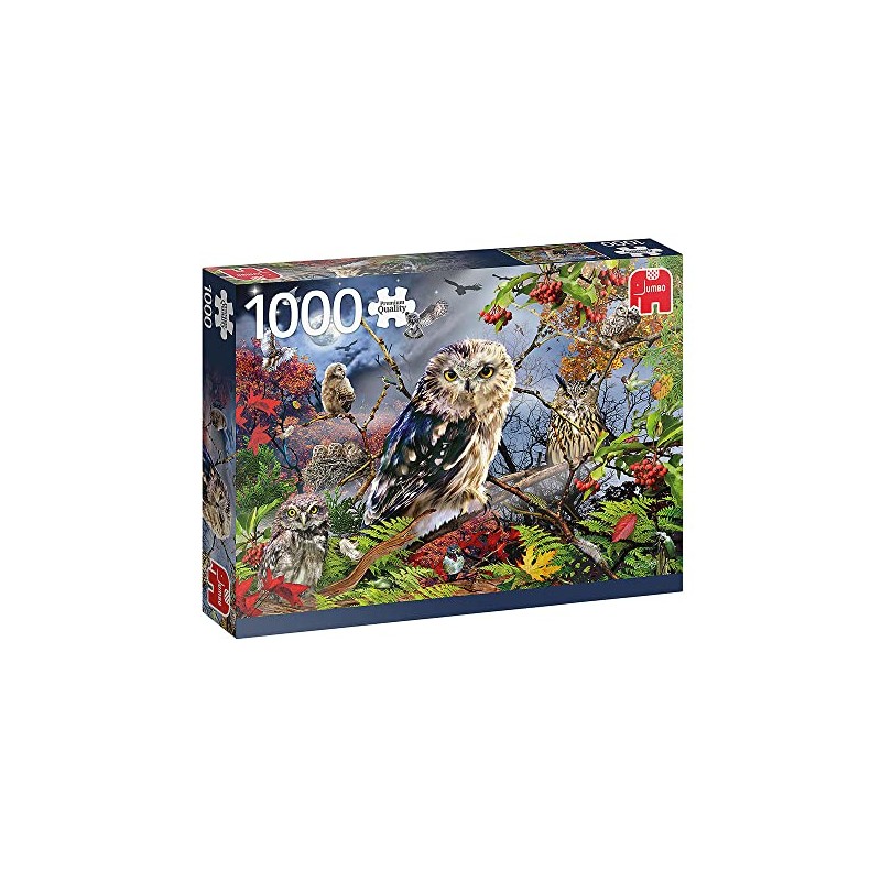 18859 Owls in Moonlight 1000 Pieces Owl Accessories, Multicoloured