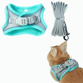 Pet Harness,Rabbit Harness and Leash Set, Breathable Pet Vest, Reflective Strips Jacket for Small Kitten, Puppy, Rabbit (Green,S)