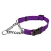 Cetacea Chain Martingale Collar with Quick Release, X-Small, Purple