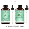 Handcraft Blends Eucalyptus Essential Oil - Huge 4 Fl Oz