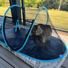 Cat Tent Outdoor, Pet Enclosure Tent Suitable for Cats and